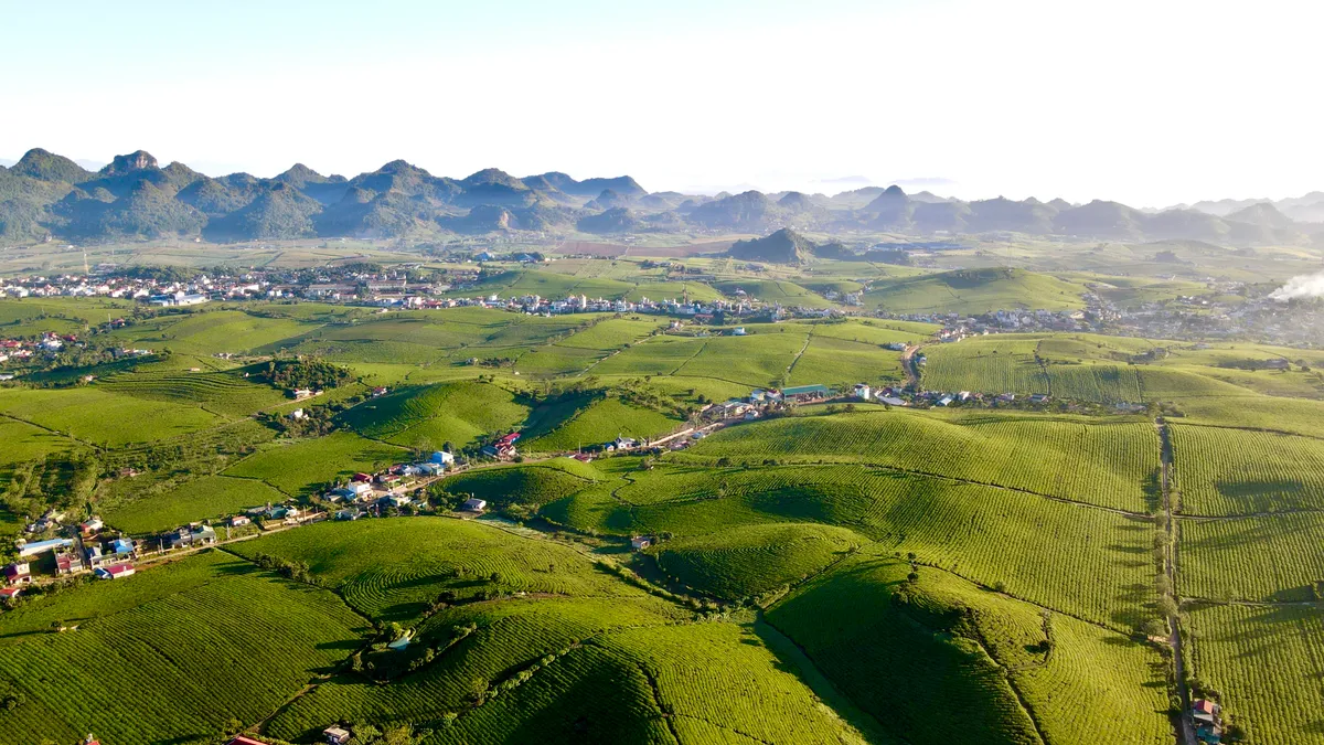 Le secteur du tourisme vietnamien a connu de grands succès en 2024