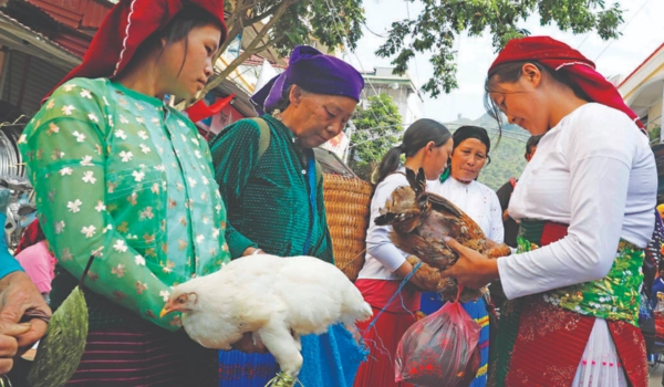 Aller à Mèo Vac pour se plonger dans la culture du Nord-Ouest