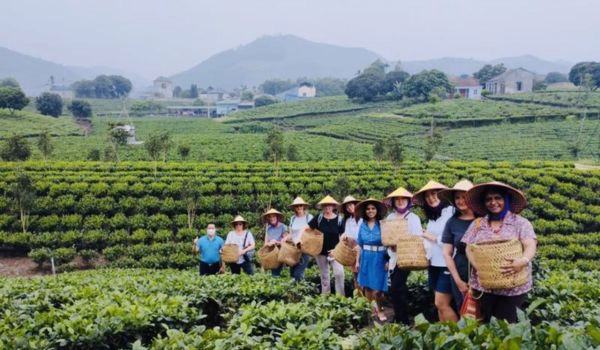 Potentiel dans le tourisme à partir des produits agricols distinctifs